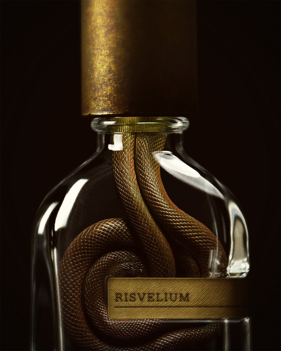 Risvelium Hero Banner