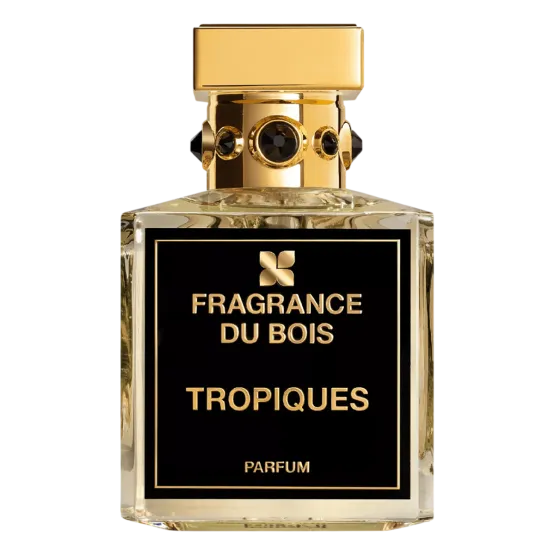 tropiques_1_iYUzWheAMi.webp