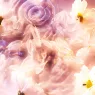 scandal-pour-femme-parfum (4).webp