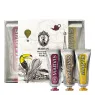 wonders_of_the_world_toothpaste_flavour_collection_3x25mlpng_1_Ib7XxP3Khy.webp